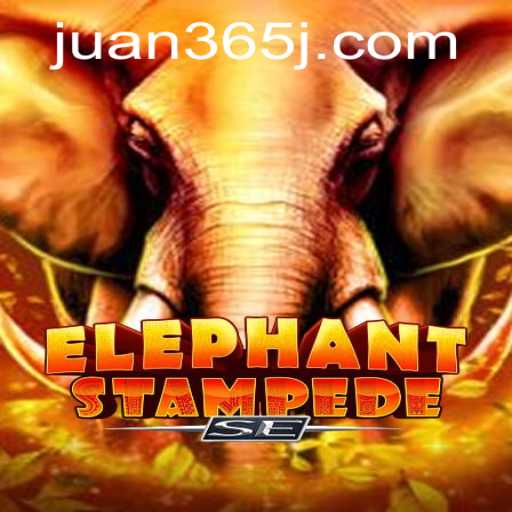 Unveiling ElephantStampedeSE: A Journey Through the World of Juan365